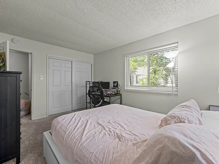 Bright primary bedroom featuring two southeast-facing windows that fill the space with natural light, along with a spacious closet for ample storage.