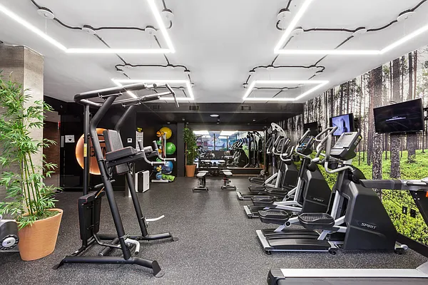 Rented by Douglas Elliman | media 26