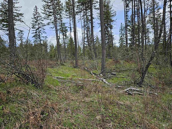 5th image of Obrien Rd