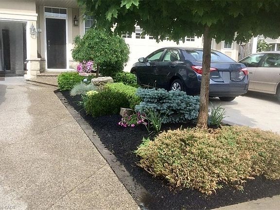 3rd image of 100 Newcombe Rd
