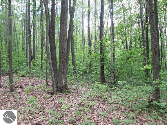2nd image of 0 Ironwood Lot 79-81