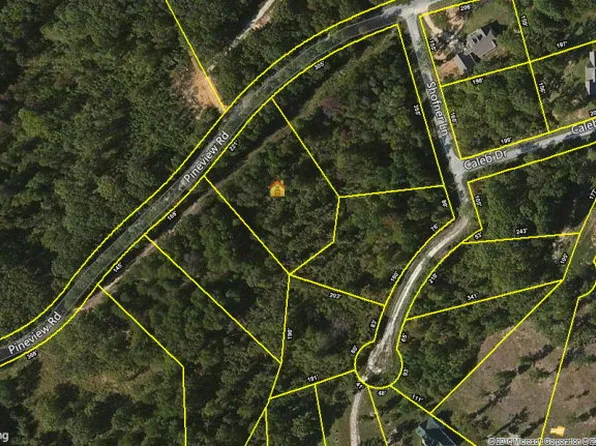 0 Pineview Rd #19, Springville, TN 38256