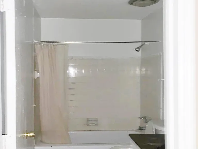 5273 Flowering Peach Dr — Photo 13