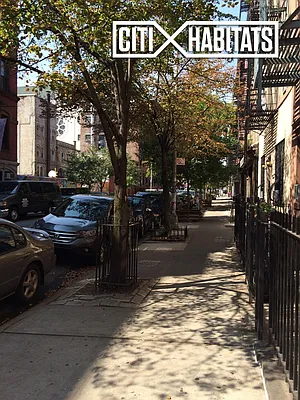 Rented by Citi Habitats | media 17