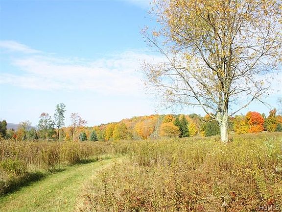 Walking trails cut into the light underbrush.