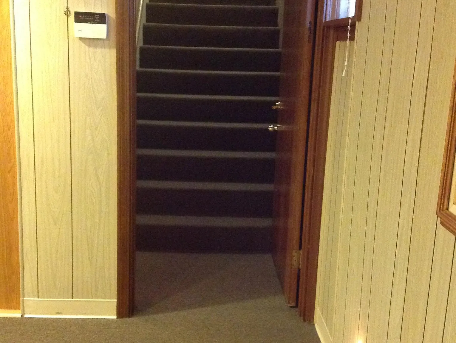 1 bed, 1915 sqft, $800 — Photo 2