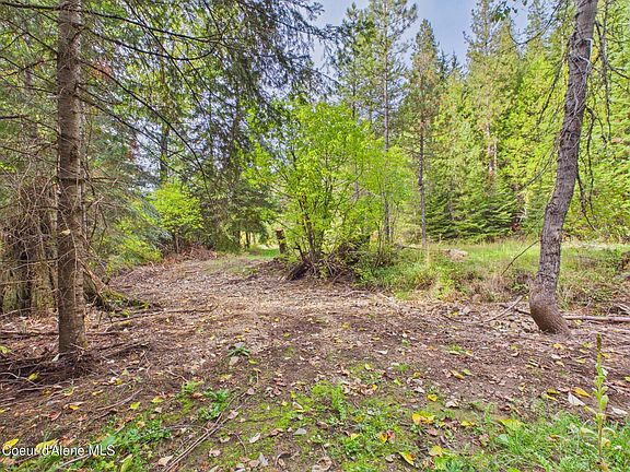 3rd image of 2815 Bear Creek Rd