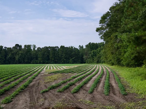 2030 Risher St, Luray, SC 29932