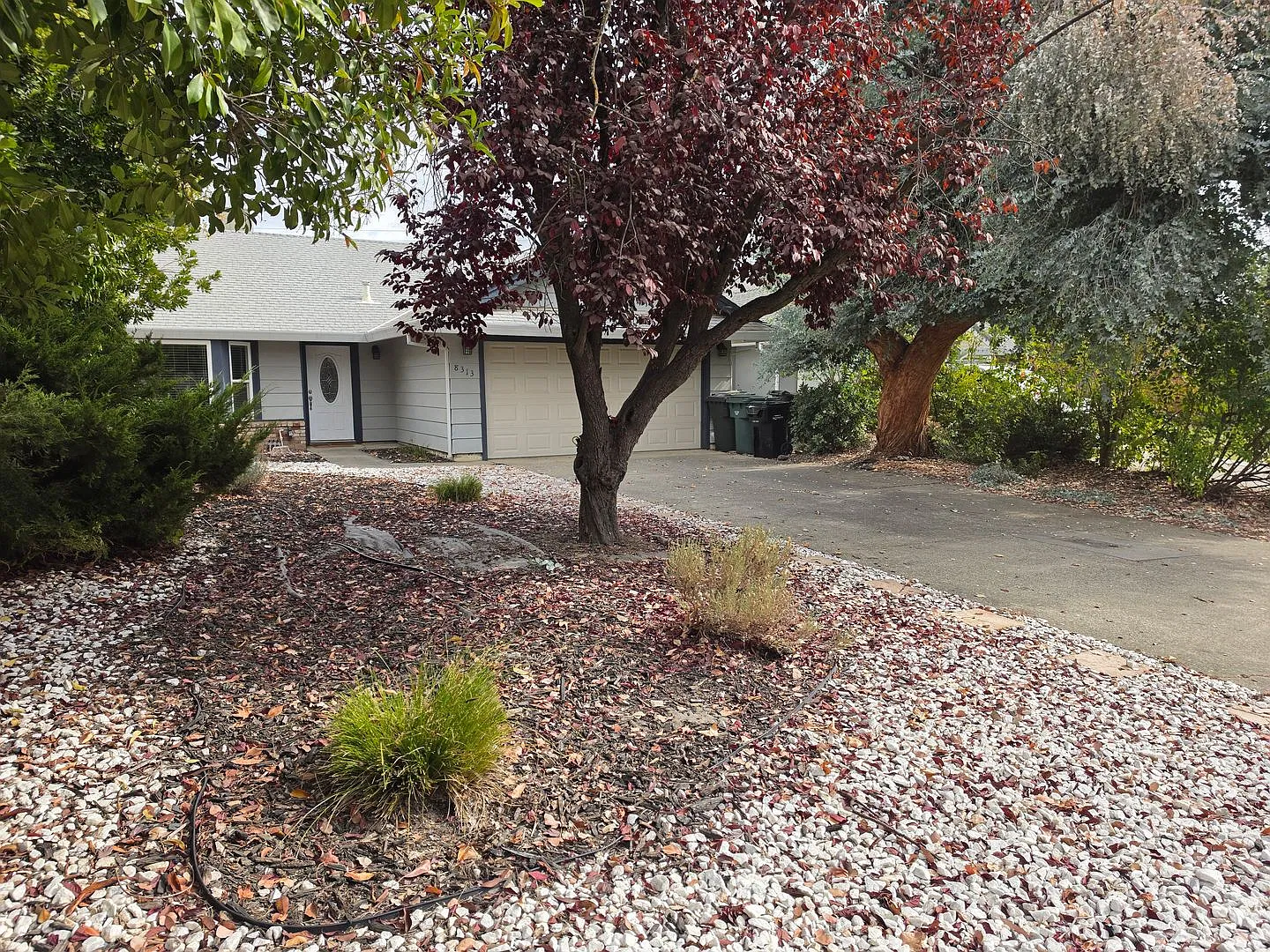 Crossoak Way 8313 — Photo 2
