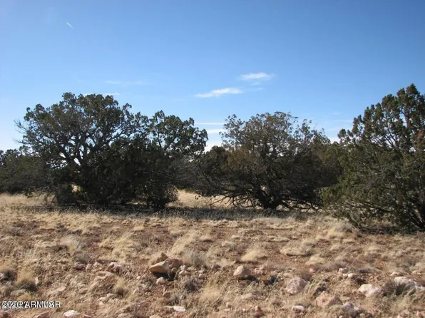 Sec 8 T14N, R16E:Se4 Sw4 -- #019, Heber, AZ 85928