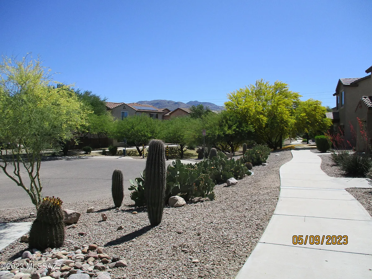 Building Photo - 10981 E Gray Mare Trl
