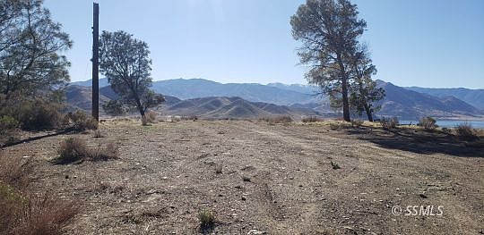 2nd image of Bristlecone