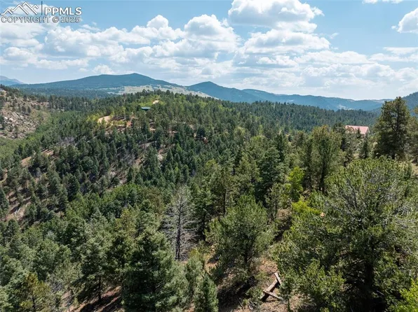 1151 Dandy Jim Dr, Cripple Creek, CO 80813
