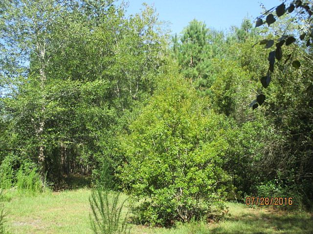 2nd image of 255 Bird Dog Ln