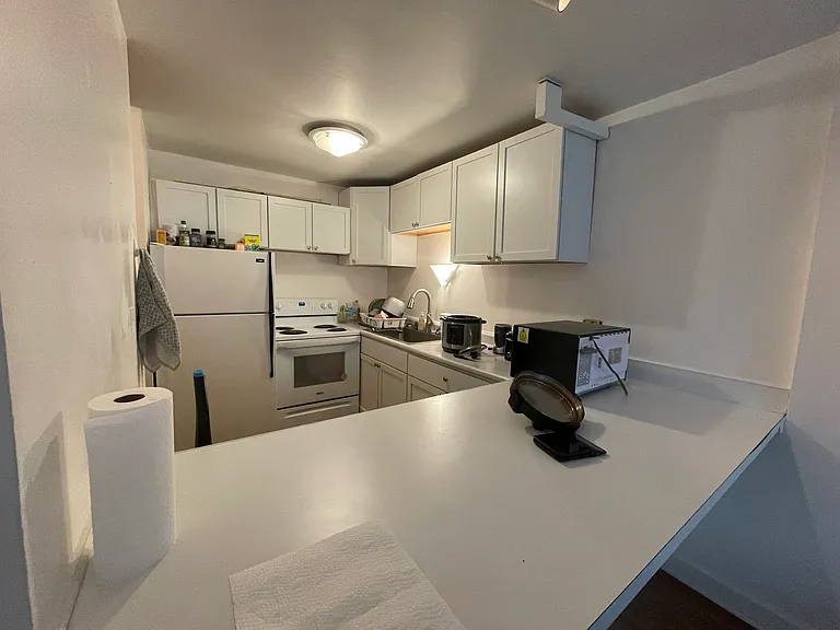 233 E Erie St #2309 — Photo 8