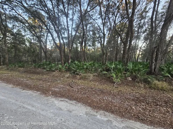 0 Rosehill Dr, Webster, FL 33597