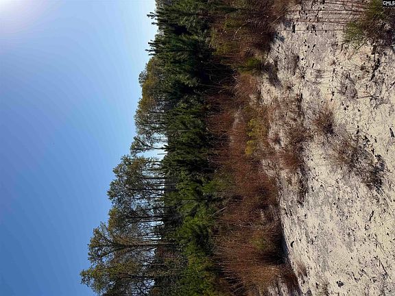 4th image of Platt Springs Rd Parcel C