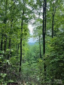 Pacolet St, Saluda, NC, 28773