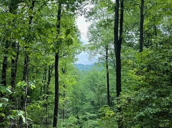 303 Pacolet Woods Ln, Saluda, NC 28773