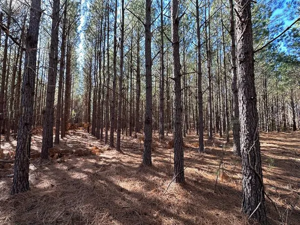 Keysville Boggs Academy Rd, Keysville, GA 30816