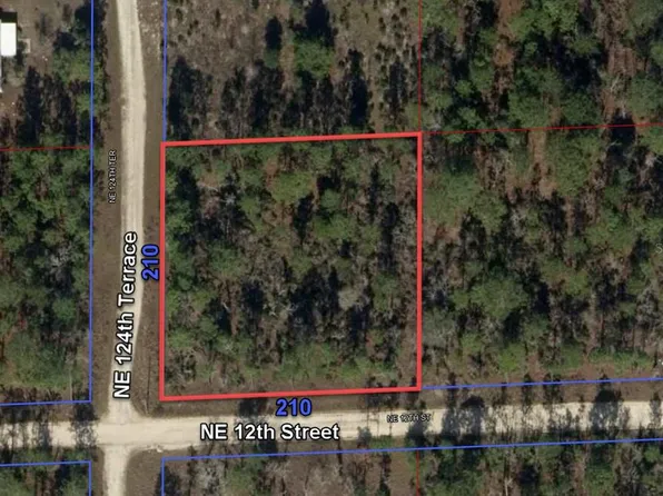 0 NE 12TH STREET LOT 6, WILLISTON, FL 32696