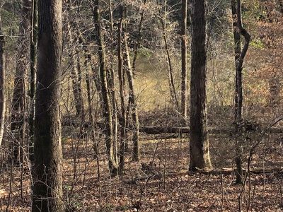 Towaliga Rd, Forsyth, GA, 31029