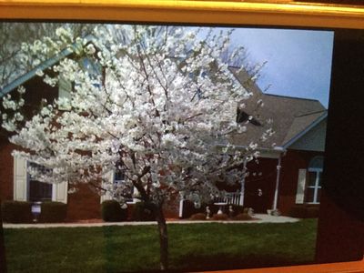 123 Leon Dr, Cookeville, TN, 38506