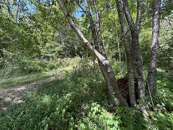 2nd image of 1 New Hope Cemetery Rd
