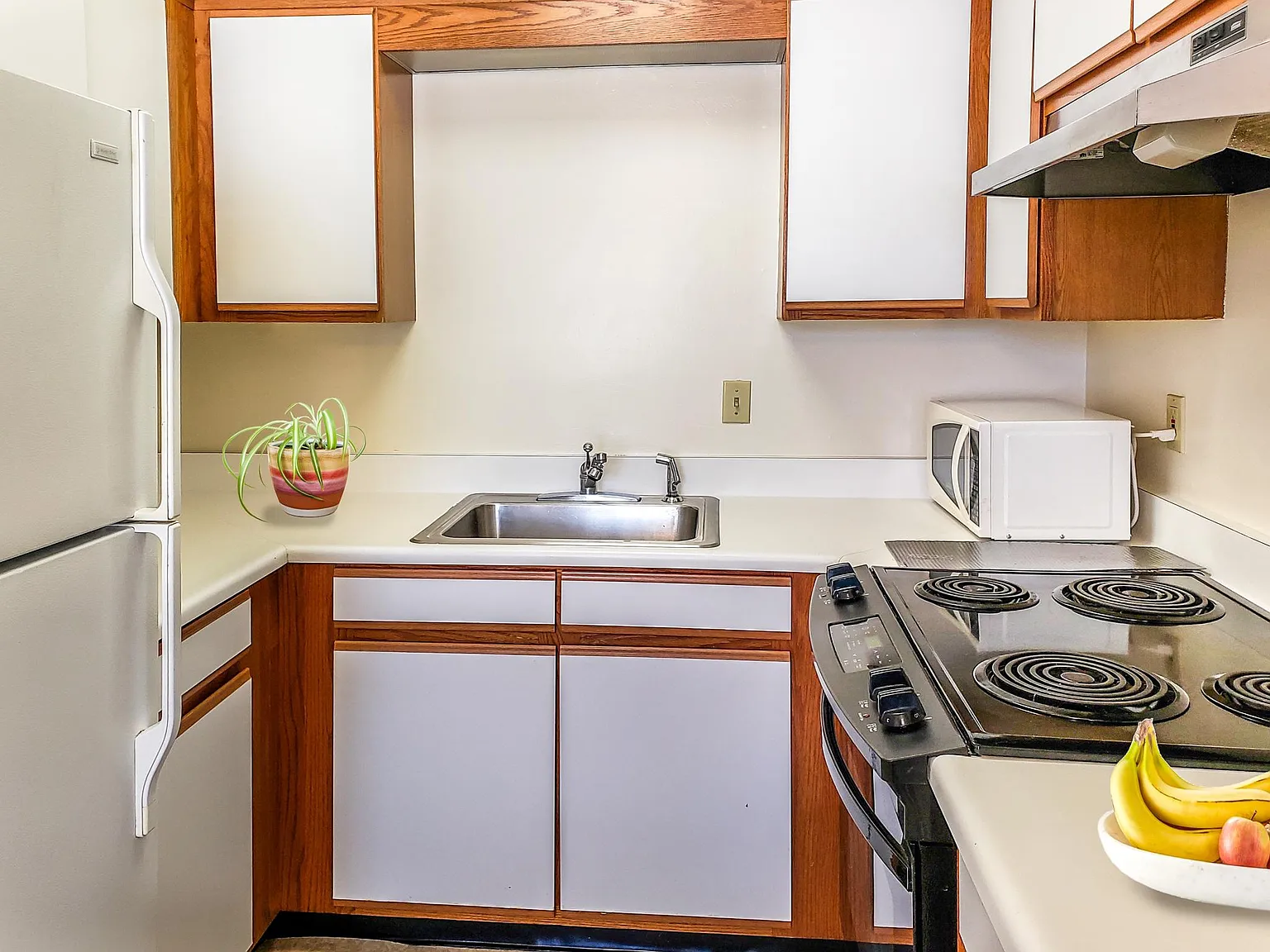 El Dorado Ave, El Cerrito — Photo 4