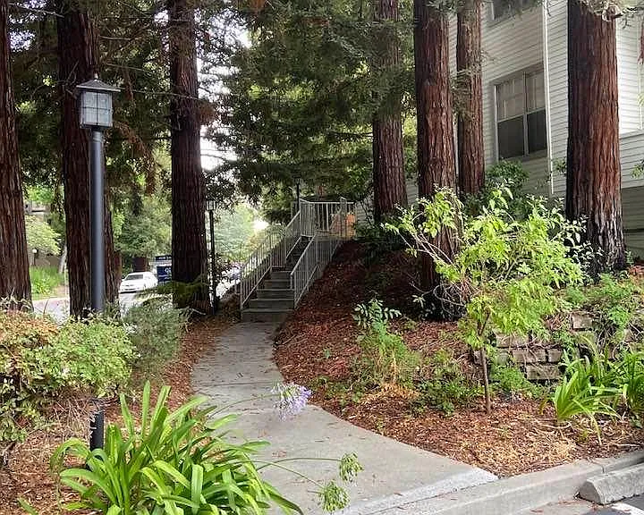 entry way 967 Belmont Terrace