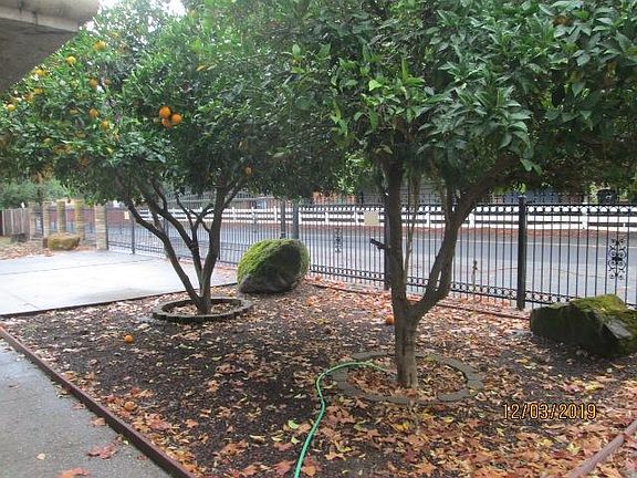 Fruit trees along the street, gated driveway