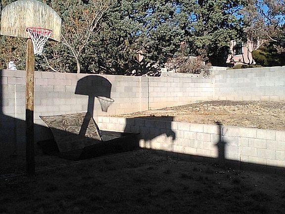 BackYard1