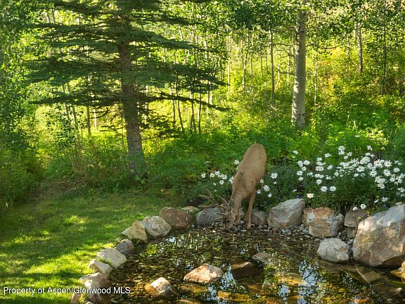 5th image of 1926 Faraway Rd