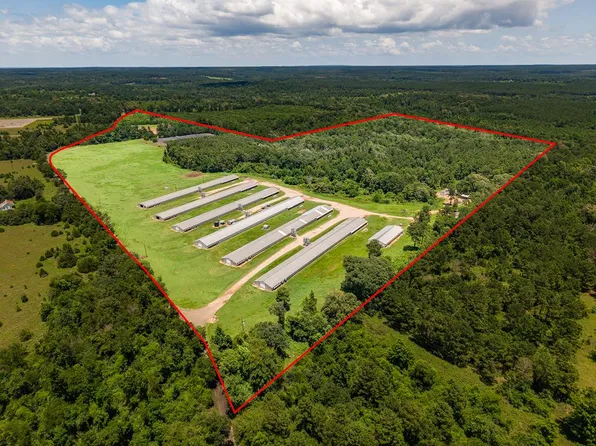 6080 County Road 203, San Augustine, TX 75972