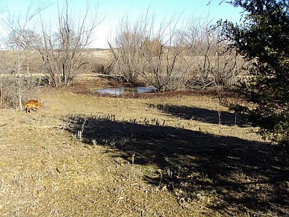 5th image of 1956 County Road 222