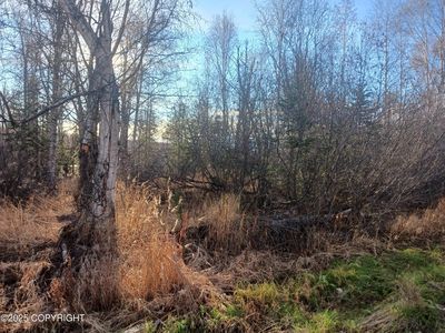 4312 S Gon Fishin Dr, Wasilla, AK, 99623