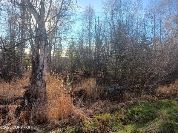 4312 S Gon Fishin Dr, Wasilla, AK 99623