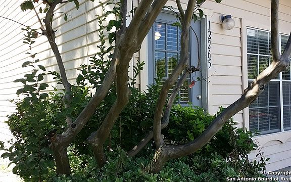 2nd image of 12265 Apricot Dr
