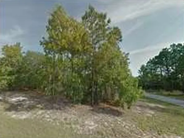 11016 N Trigger Ter, Citrus Springs, FL 34433