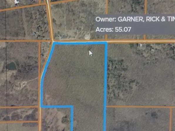 0 County Road 3020, Mountain View, MO 65548