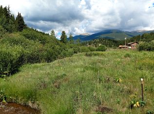 98 Bishop Rd, Bailey, CO 80421