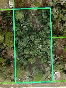 1st image of MISSISSIPPI KITE AVENUE LOT 11