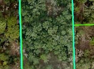 Mississippi Kite Ave #11, Brooksville, FL 34614