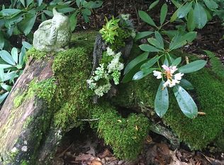 373 Clyde Cornett Rd, Vilas, NC 28692