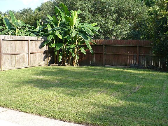 back yard