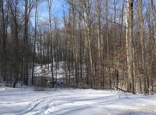 2201 N Mount Tom Rd, Mio, MI 48647