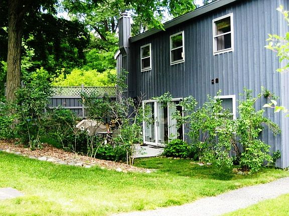 Yard and blueberries