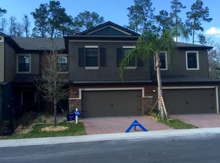 17382 Old Tobacco Road, Lutz, FL 33558