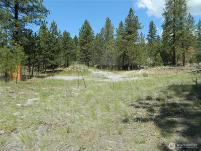 1111 TBD Cape Labelle Road, Tonasket, WA, 98855