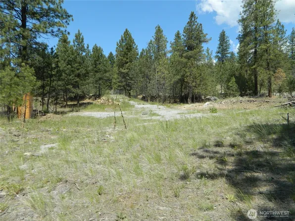 1111 TBD Cape Labelle Road, Tonasket, WA 98855